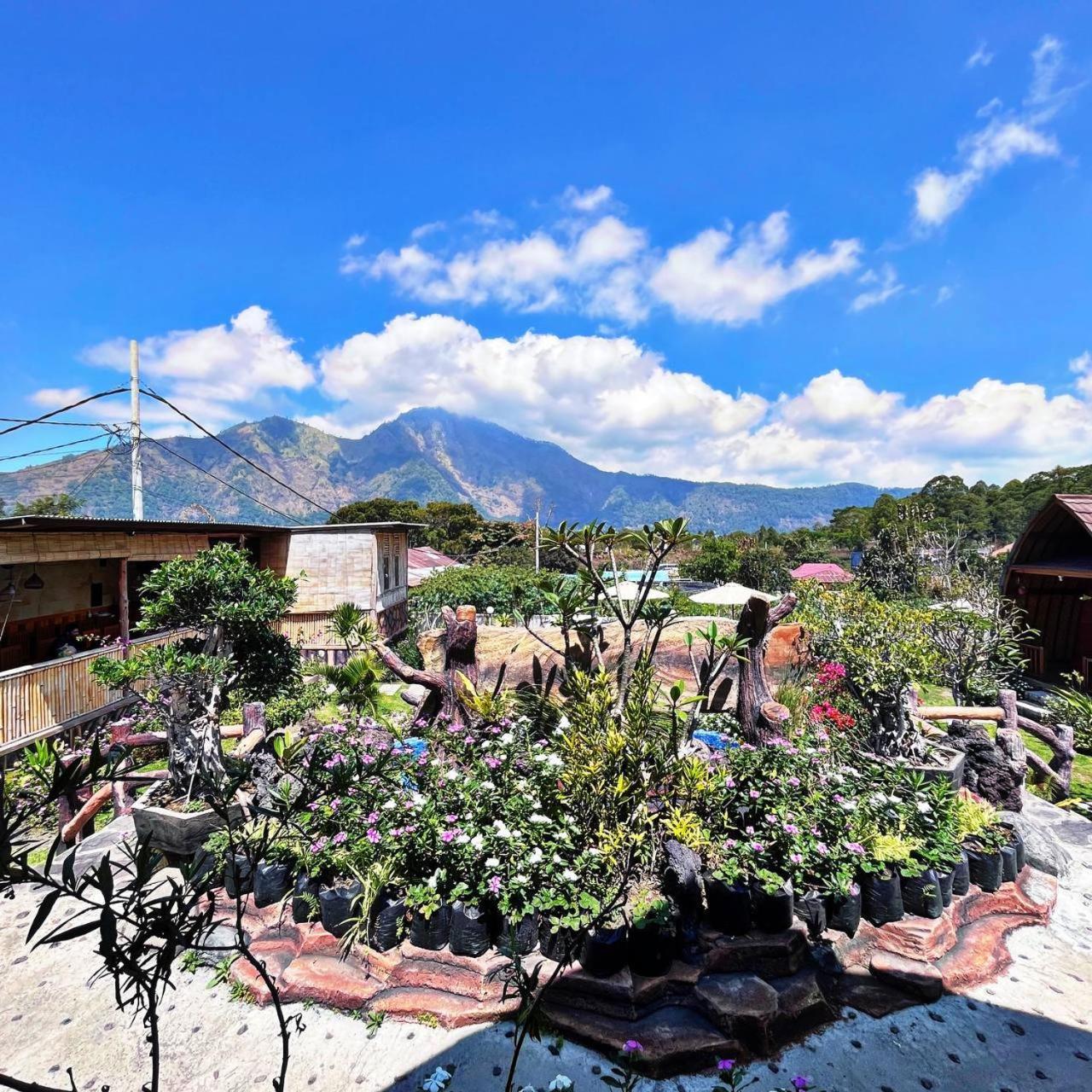 Manik Tirta Cabin'S Kintamani Exterior foto